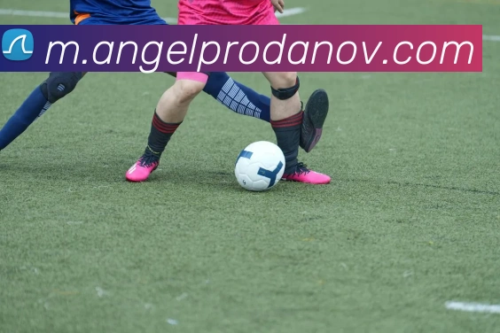 App界面